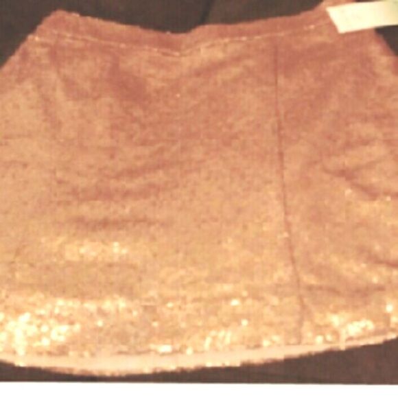 Nwt sequin bronze skirt - Picture 4 of 4